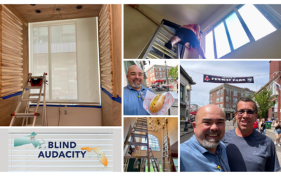 Boston Adventures and Window Treatments Wonders!