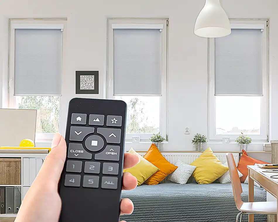 motorization-roller-remote