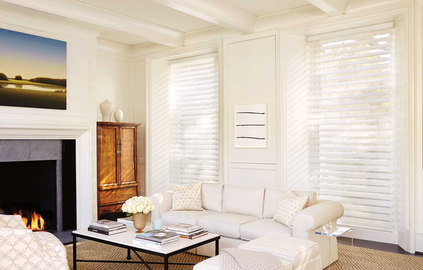luminette-sheer-privacy-exterior-shades Sheer silhouette blinds in living room