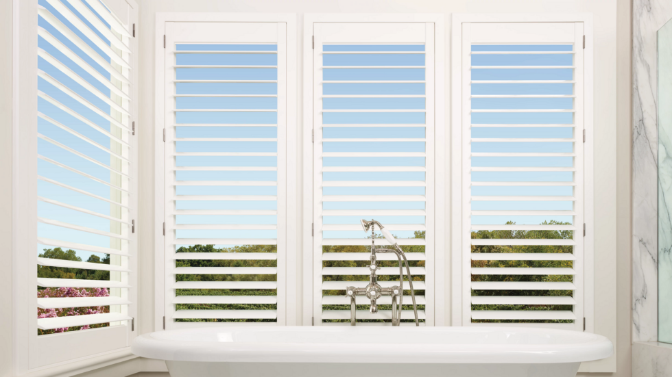 Shutter Bath Open Louvers
