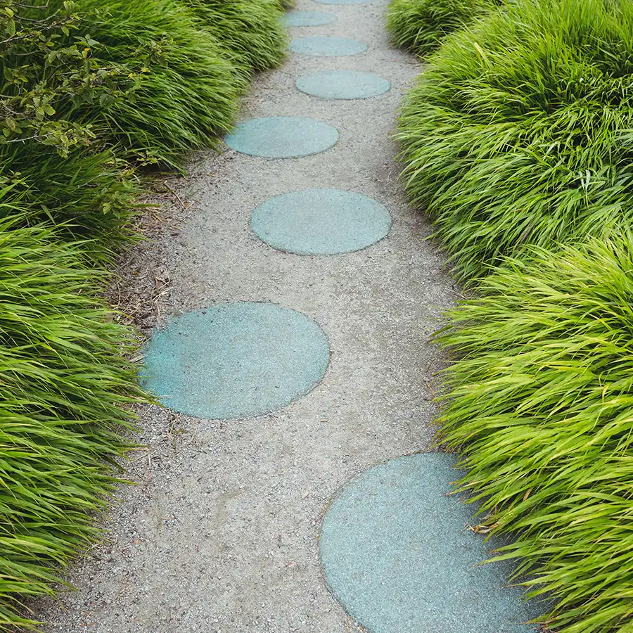 stone pathway with circles and grass plant
